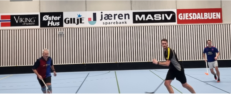 Fordeling av halltider